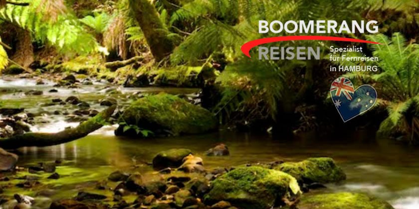 Boomerang Reisen Australien Plant Die Reise Ihres Lebens Mit Ihnen